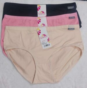 Mahavir Fashion 3PCS Panty Combo Pack – Just ₹149